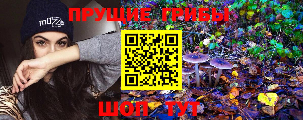 Псилоцибиновые грибы MAGIC MUSHROOMS Курчатов