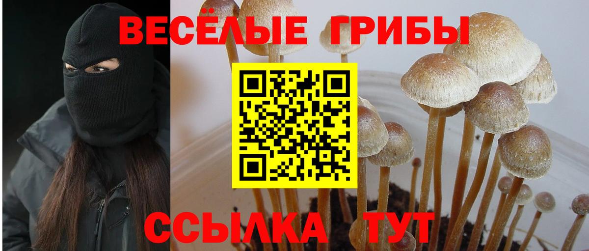 Галлюциногенные грибы мухоморы  Вход с VPN  Курчатов 
